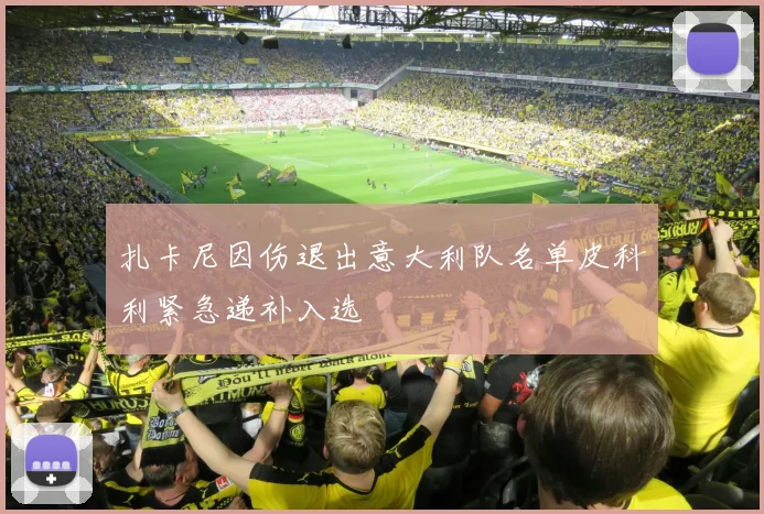 扎卡尼因伤退出意大利队名单皮科利紧急递补入选