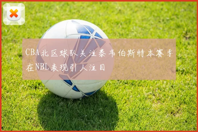 CBA北区球队关注泰韦伯斯特本赛季在NBL表现引人注目