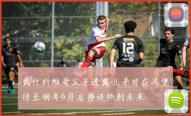 武什科维奇父亲透露儿子将在汉堡待至明年6月后再谈热刺未来